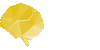 Uim Dijital İletişim Ajansı